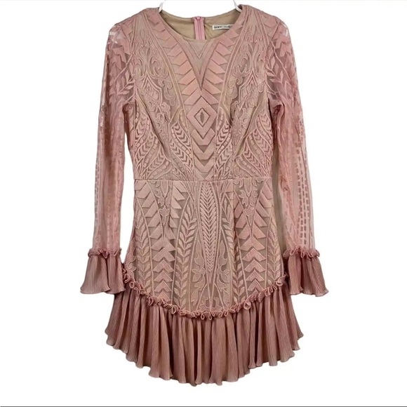 Saints + Secrets Blush Pink Lace Overlay Ruffle Accordion Pleating Mini Dress - Picture 2 of 2